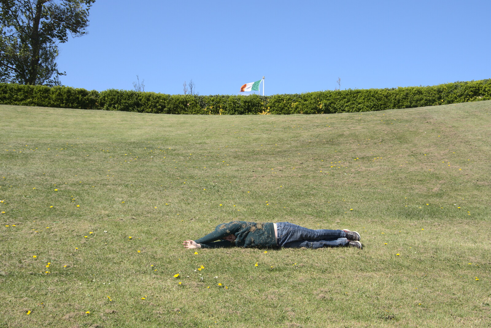 Blackrock North and South, Louth and County Dublin, Ireland - 23rd April 2022: Fred gets grassy rolling down a hill