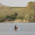 A dog goes out on a paddle board, The Canoe's First Outing, Weybread Lake, Harleston - 1st May 2022