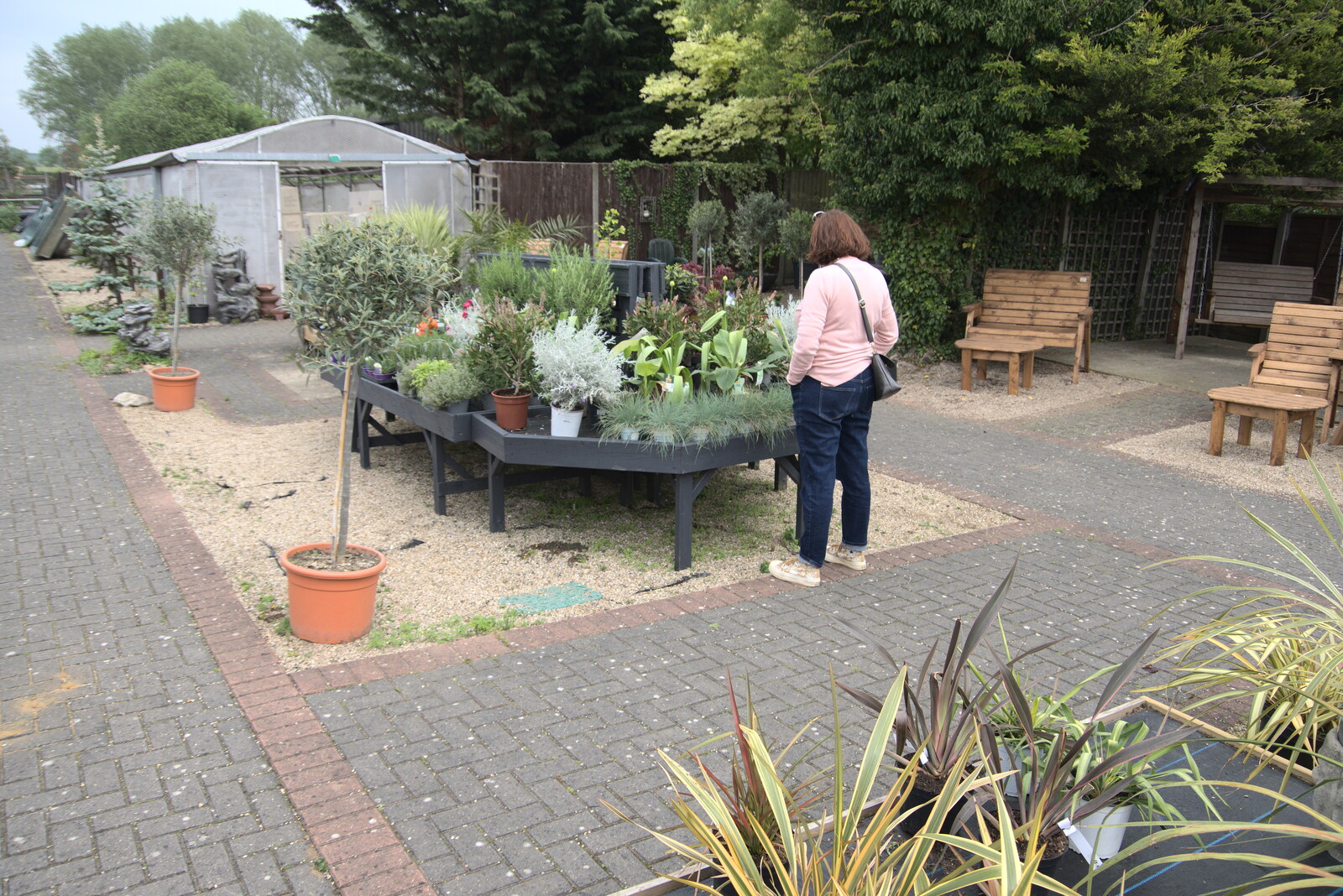 Isobel looks at plants from The BSCC at Burston and The Legend of Swallow Aquatics, East Harling, Norfolk - 15th May 2022