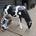 2022 Harry has a go at milking a cow