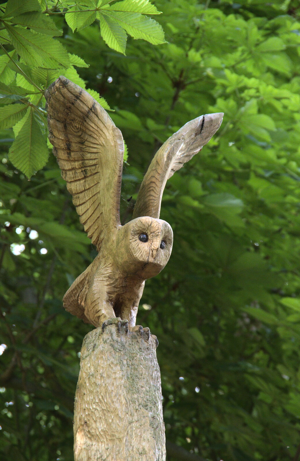 A cool carved owl in the woods from A Moth Infestation and a Trip to the Zoo, Banham, Norfolk - 21st May 2022