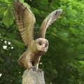 2022 A cool carved owl in the woods