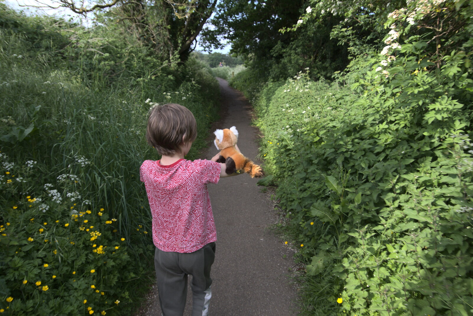 Harry takes his red panda down to the Lows in Diss from A Moth Infestation and a Trip to the Zoo, Banham, Norfolk - 21st May 2022
