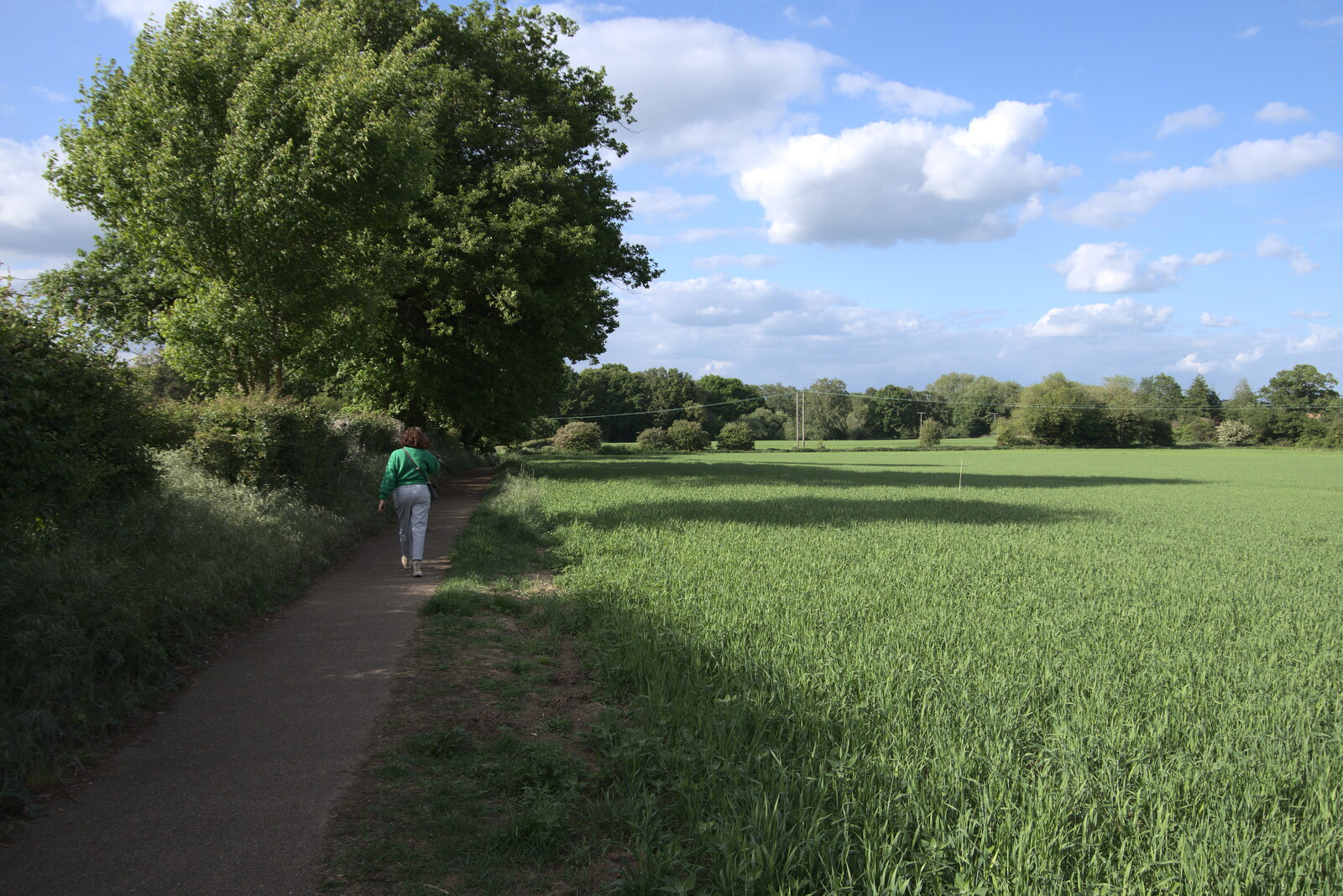 Isobel walks along the Lows path from A Moth Infestation and a Trip to the Zoo, Banham, Norfolk - 21st May 2022
