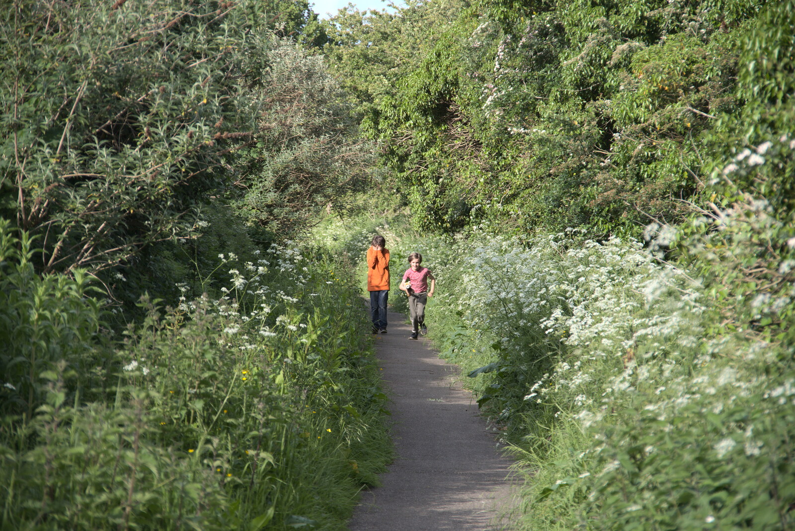 Harry runs along the path back to Palgrave from A Moth Infestation and a Trip to the Zoo, Banham, Norfolk - 21st May 2022