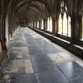2022 Outside in the Cloisters