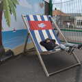 2022 Fred in a giant deck chair