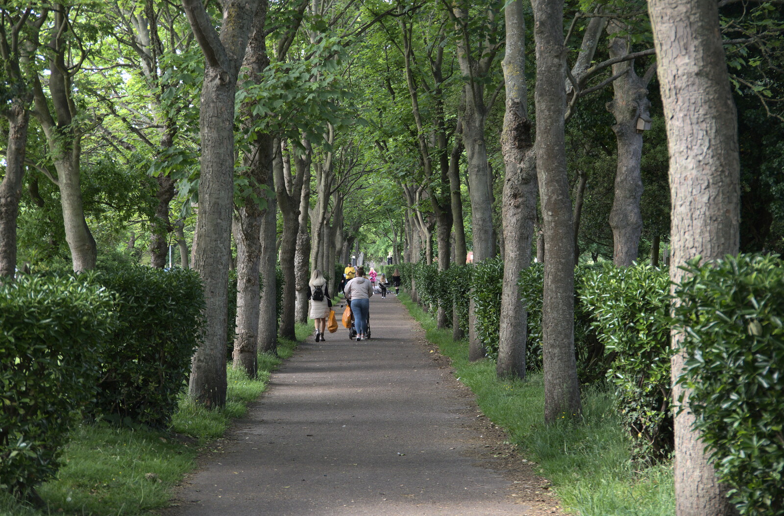 People stroll along the tree-lined avenue  from Faded Seaside Glamour: A Weekend in Great Yarmouth, Norfolk - 29th May 2022