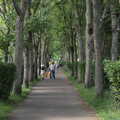 2022 People stroll along the tree-lined avenue 