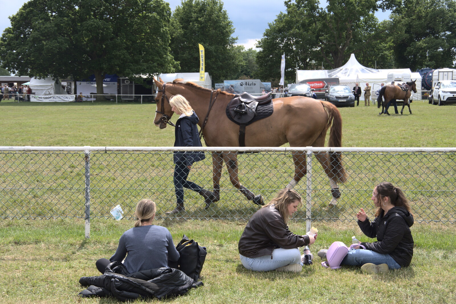 The Suffolk Show, Trinity Park, Ipswich - 1st June 2022: A horse gets walked around