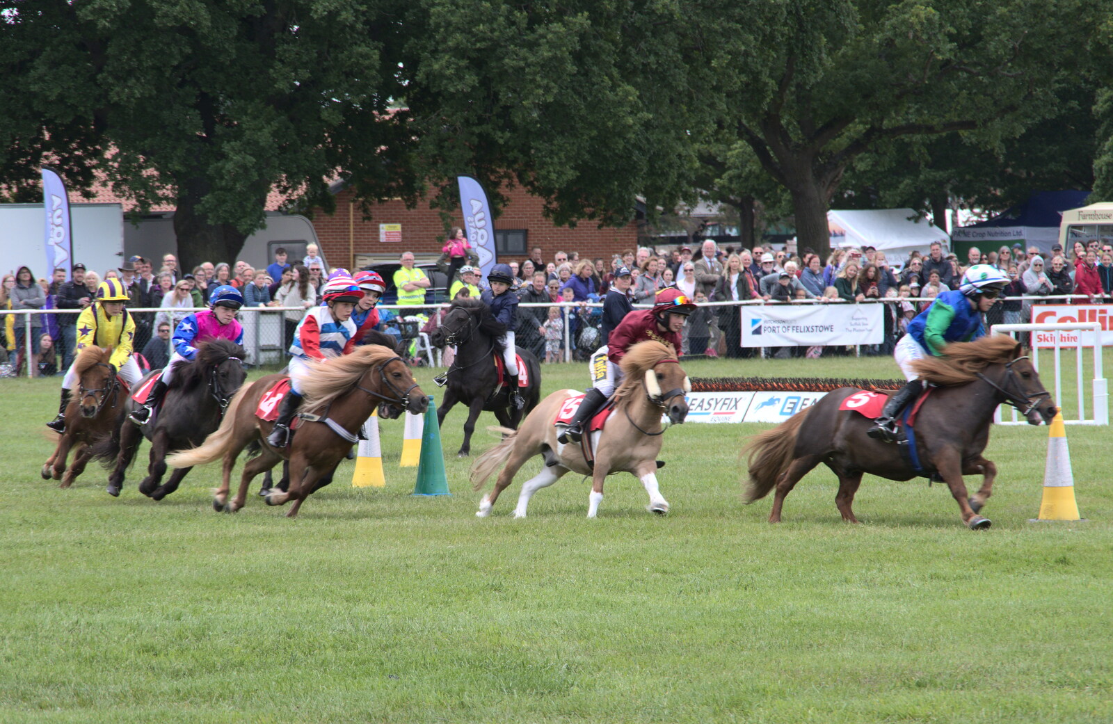 The Suffolk Show, Trinity Park, Ipswich - 1st June 2022: There's an amusing Shetland Pony race