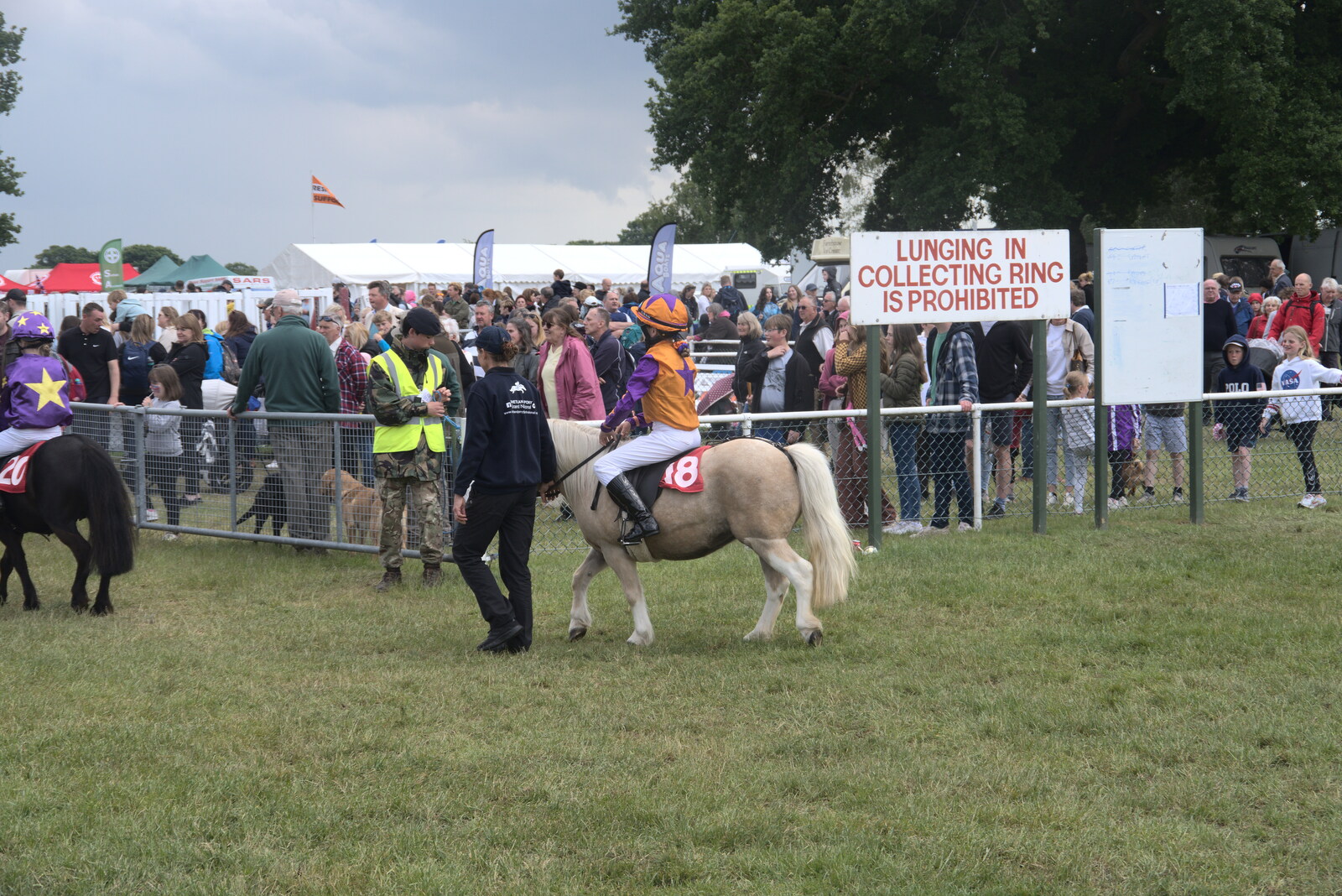 The Suffolk Show, Trinity Park, Ipswich - 1st June 2022: One of the Shetland ponies trots out of the ring