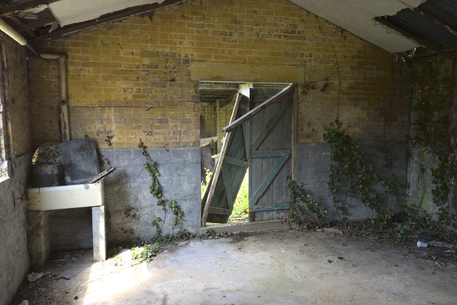 Ivy grows all over the inside walls from A 1940s Timewarp, Site 4, Bungay Airfield, Flixton, Suffolk - 9th June 2022