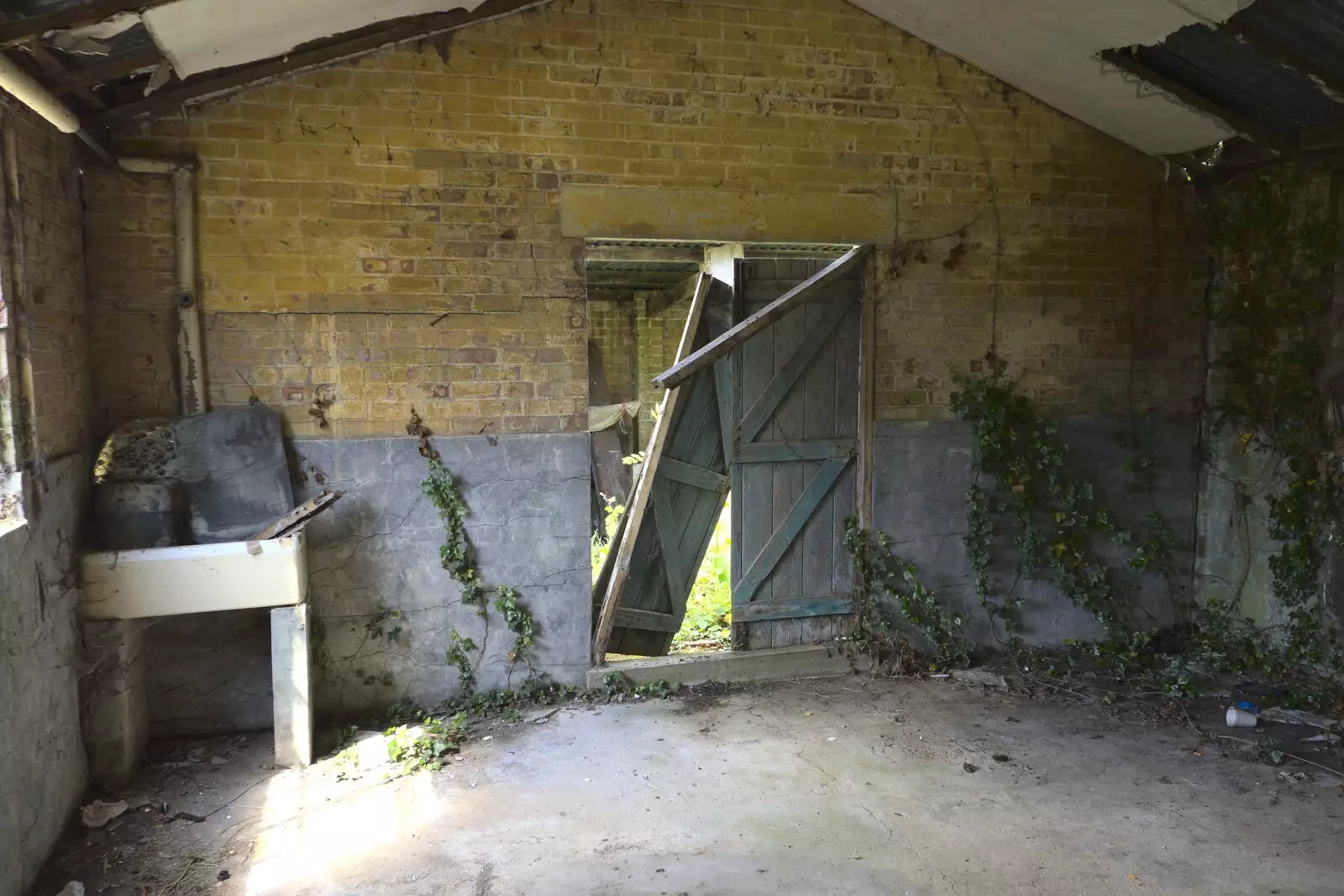 Ivy grows all over the inside walls, from A 1940s Timewarp, Site 4, Bungay Airfield, Flixton, Suffolk - 9th June 2022