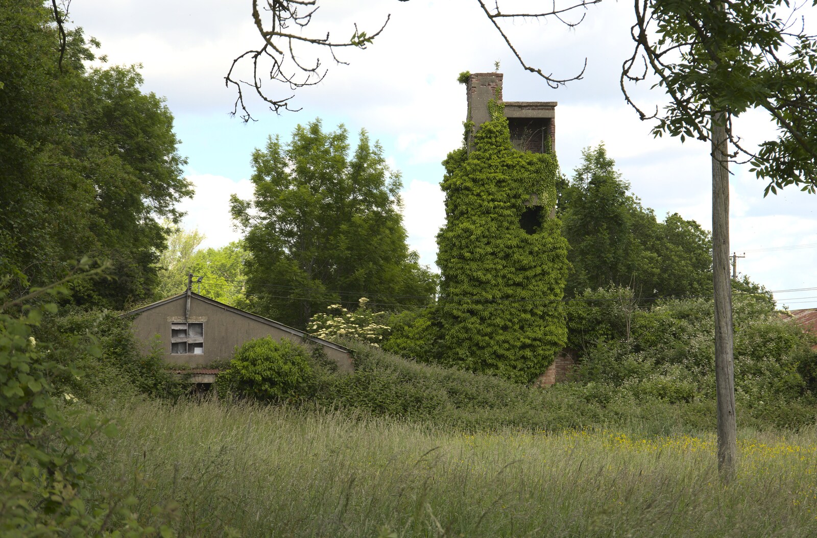 Ivy covers a tower from A 1940s Timewarp, Site 4, Bungay Airfield, Flixton, Suffolk - 9th June 2022