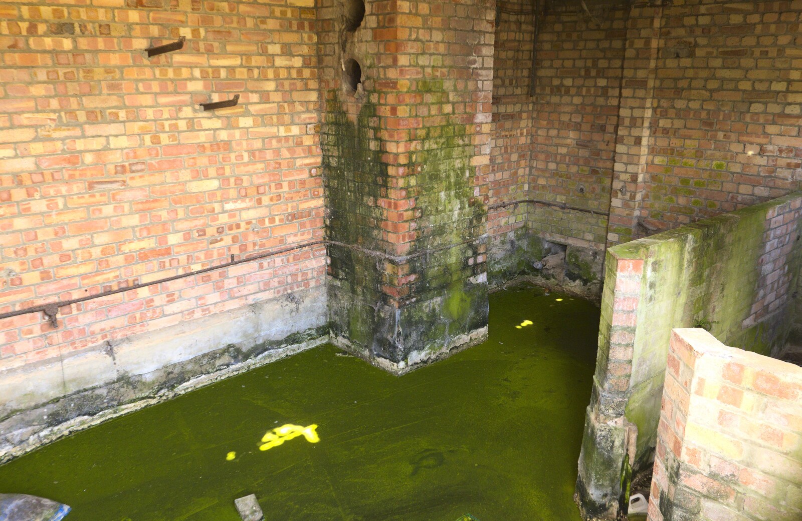 Green algae on a pool of water from A 1940s Timewarp, Site 4, Bungay Airfield, Flixton, Suffolk - 9th June 2022