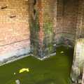 Green algae on a pool of water, A 1940s Timewarp, Site 4, Bungay Airfield, Flixton, Suffolk - 9th June 2022