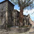 2022 A Romanesque church on Elm Hill
