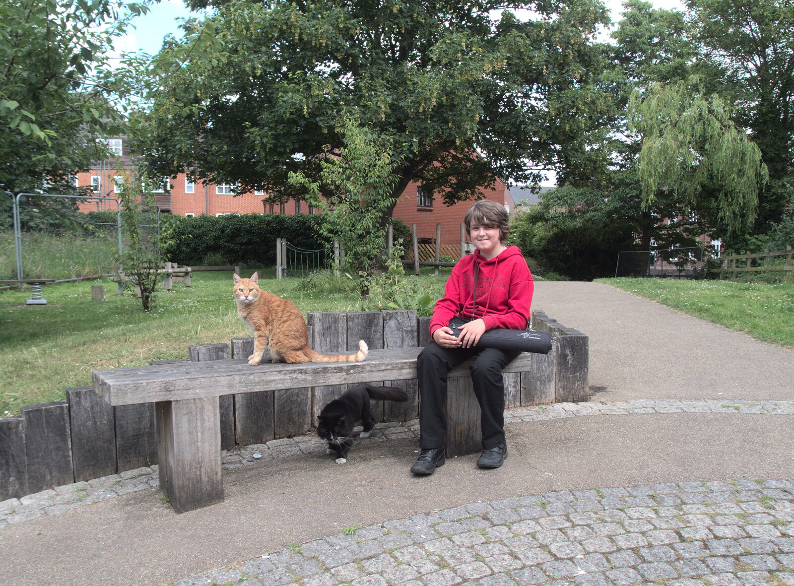 Fred's Flute Exam and Sean and Hannah Visit, Norwich and Brome, Suffolk - 18th June 2022: Fred meets the Fishergate park cats