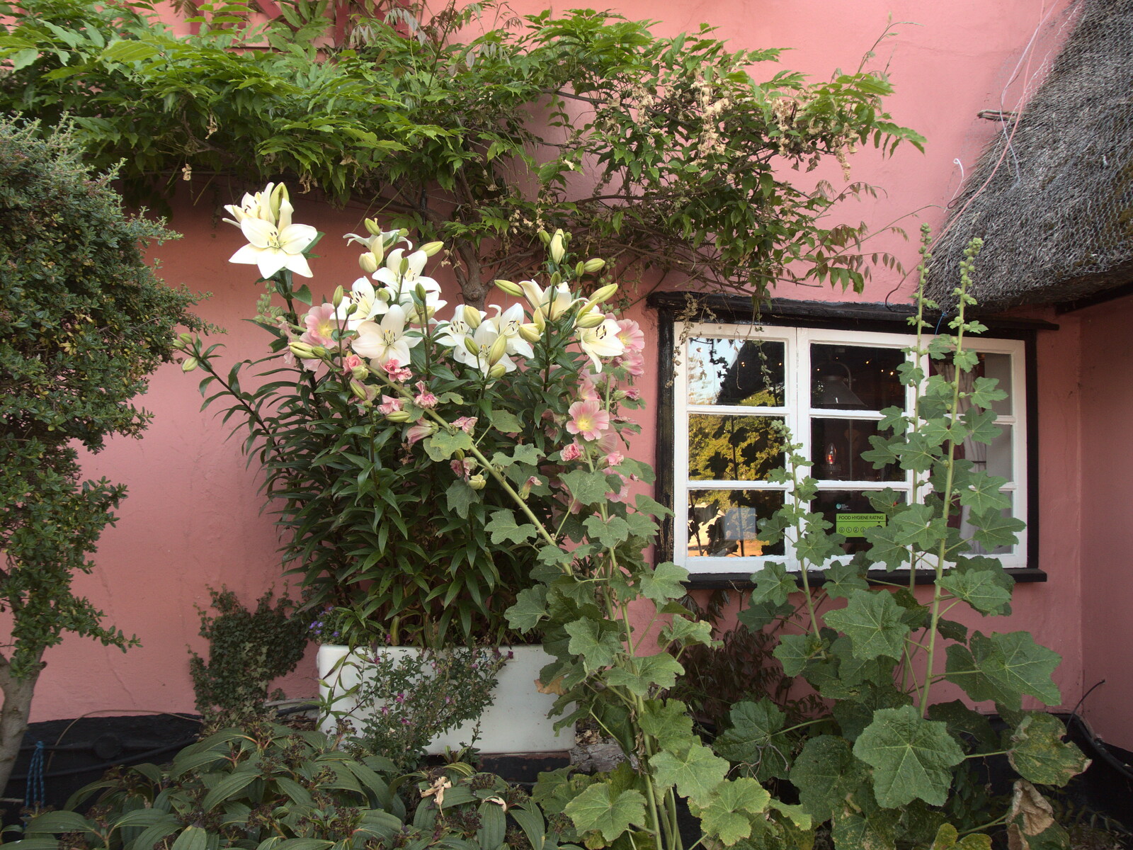 Nice flowers around the window of the pub from Pizza at the Village Hall, Brome, Suffolk - 24th June 2022