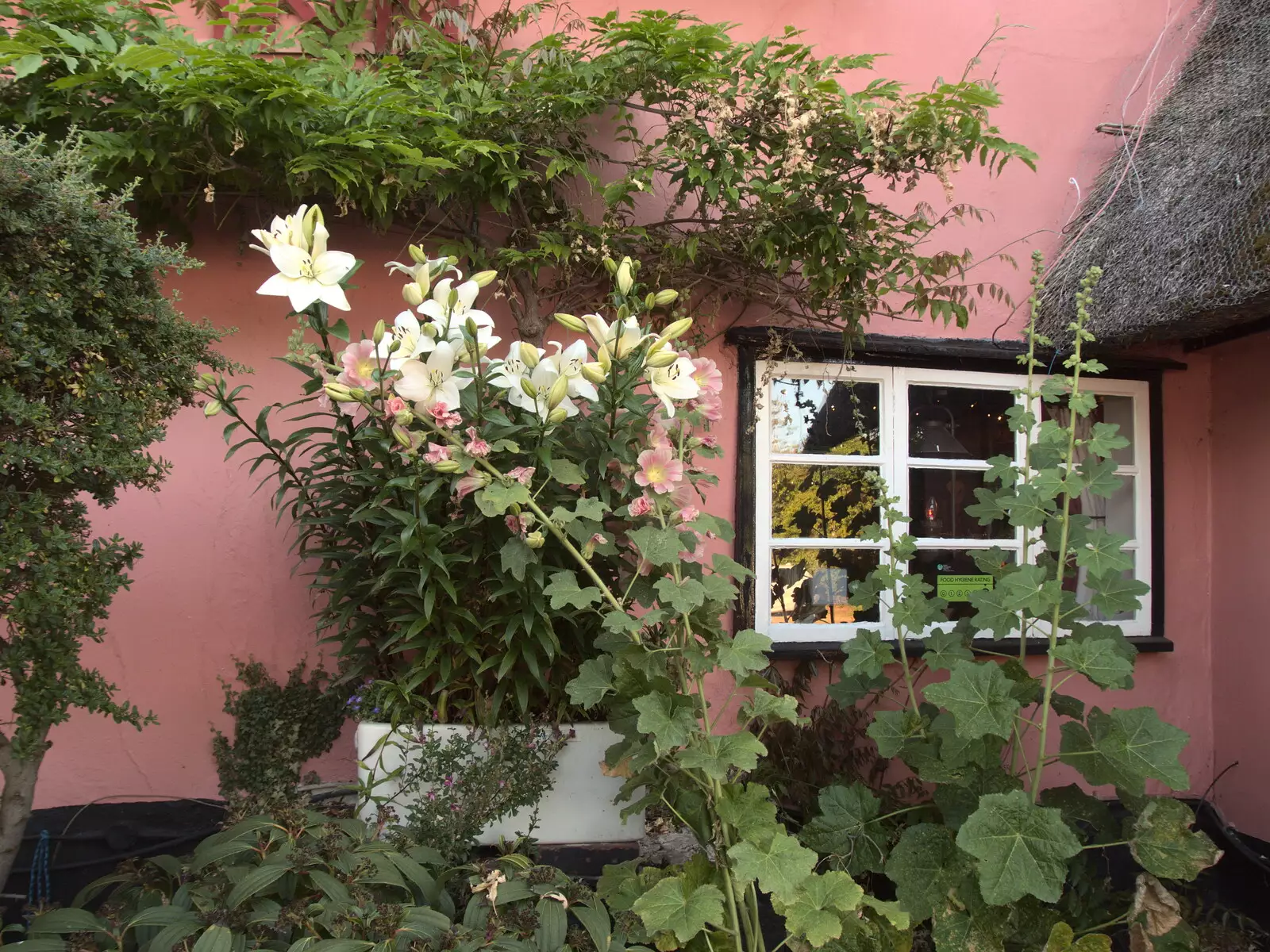 Nice flowers around the window of the pub, from Pizza at the Village Hall, Brome, Suffolk - 24th June 2022