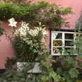 Nice flowers around the window of the pub, Pizza at the Village Hall, Brome, Suffolk - 24th June 2022