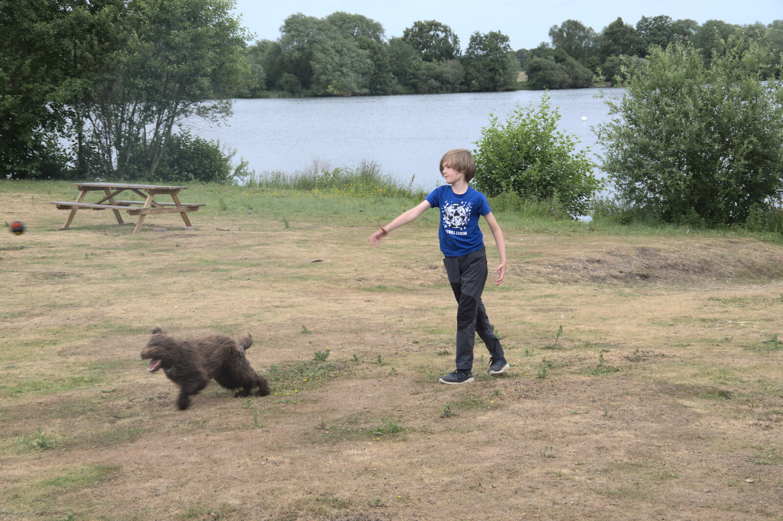 Harry chases the lunatic dog around from Camping at the Lake, Weybread, Harleston - 25th June 2022