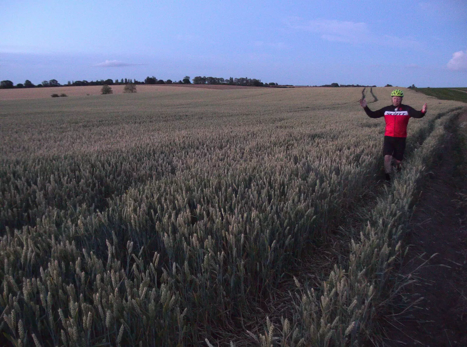 Gaz roams around in a wheat field, from A Fire, a Fête, and a Scout Camp, Hallowtree, Suffolk - 30th June 2022