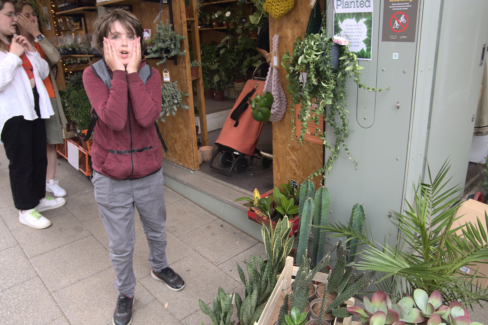 Fred sees a cactus he really wants from The Lord Mayor's Procession, Norwich, Norfolk - 2nd July 2022