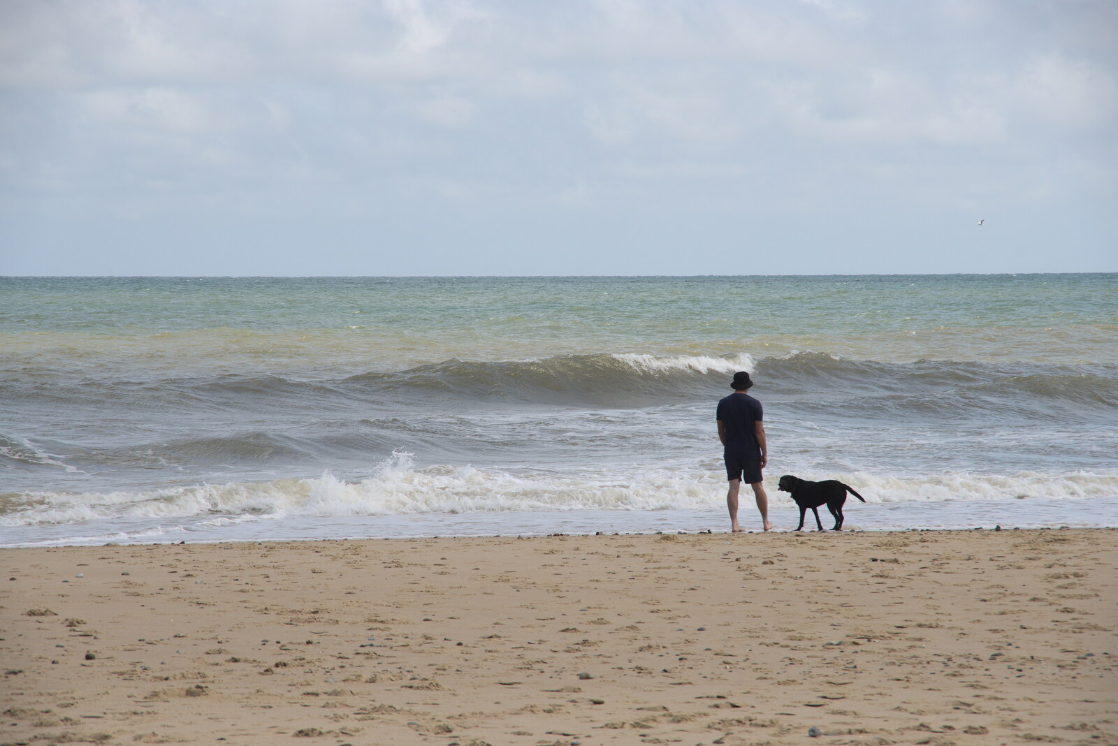 Andrew and Tilly Dog on the beach from Camping in the Dunes, Waxham Sands, Norfolk - 9th July 2022