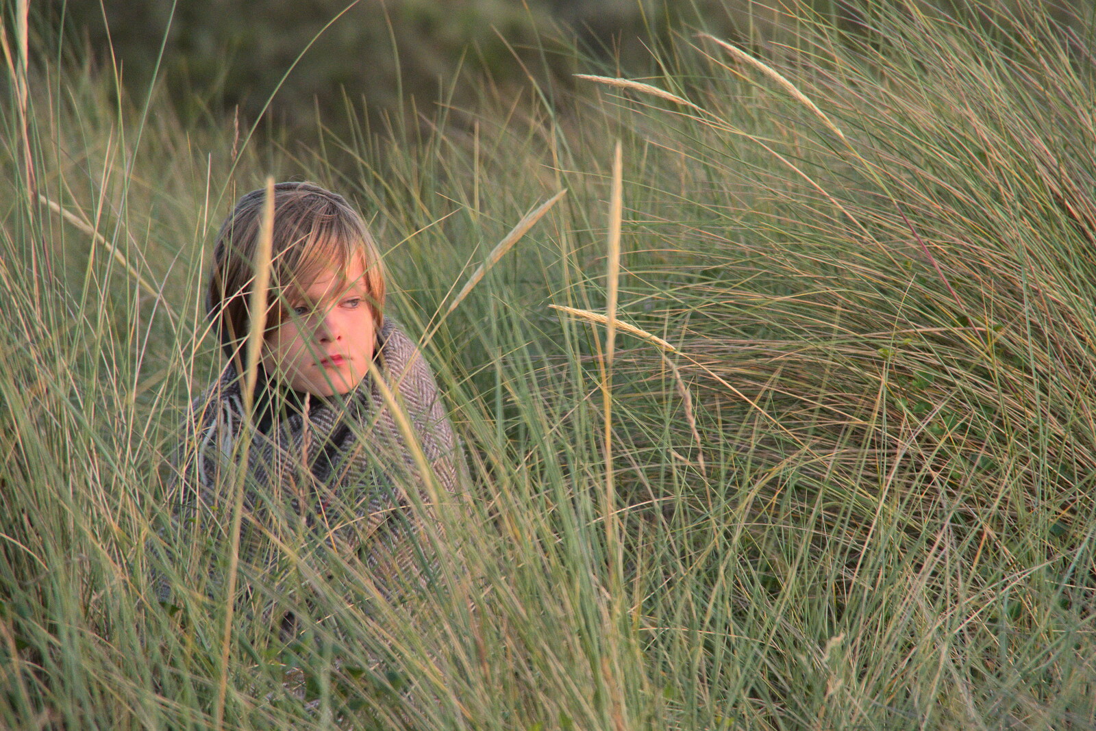 Harry sits in the dune grass from Camping in the Dunes, Waxham Sands, Norfolk - 9th July 2022