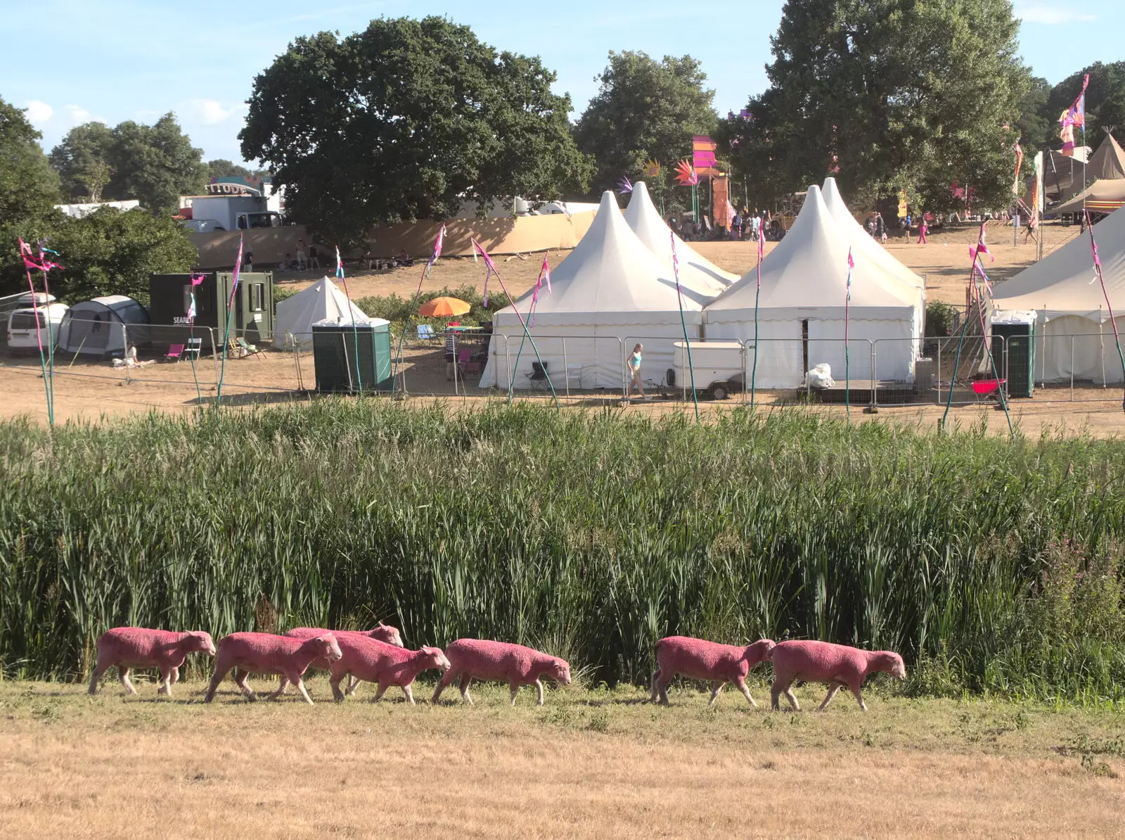 The pink sheep wander off, from A Day at Latitude, Henham Park, Suffolk - 24th July 2022