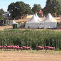 A Day at Latitude, Henham Park, Suffolk - 24th July 2022, The pink sheep wander off