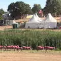 The pink sheep wander off, A Day at Latitude, Henham Park, Suffolk - 24th July 2022