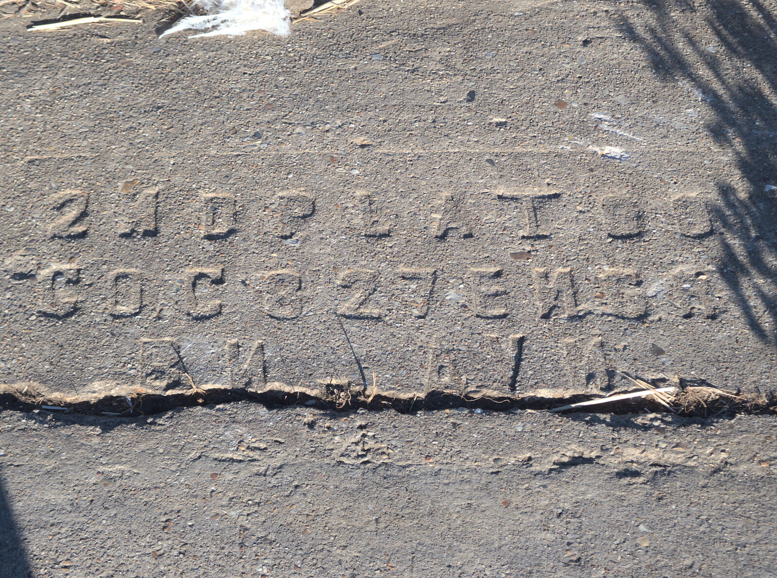 2nd Platoon 827th Engineers written in concrete from Camping at Forest Park, Cromer, Norfolk - 12th August 2022