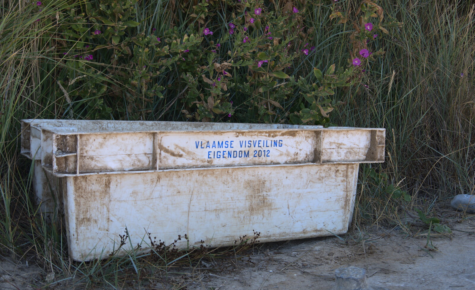 A crate has drifted over the sea from Flanders from Camping at Forest Park, Cromer, Norfolk - 12th August 2022
