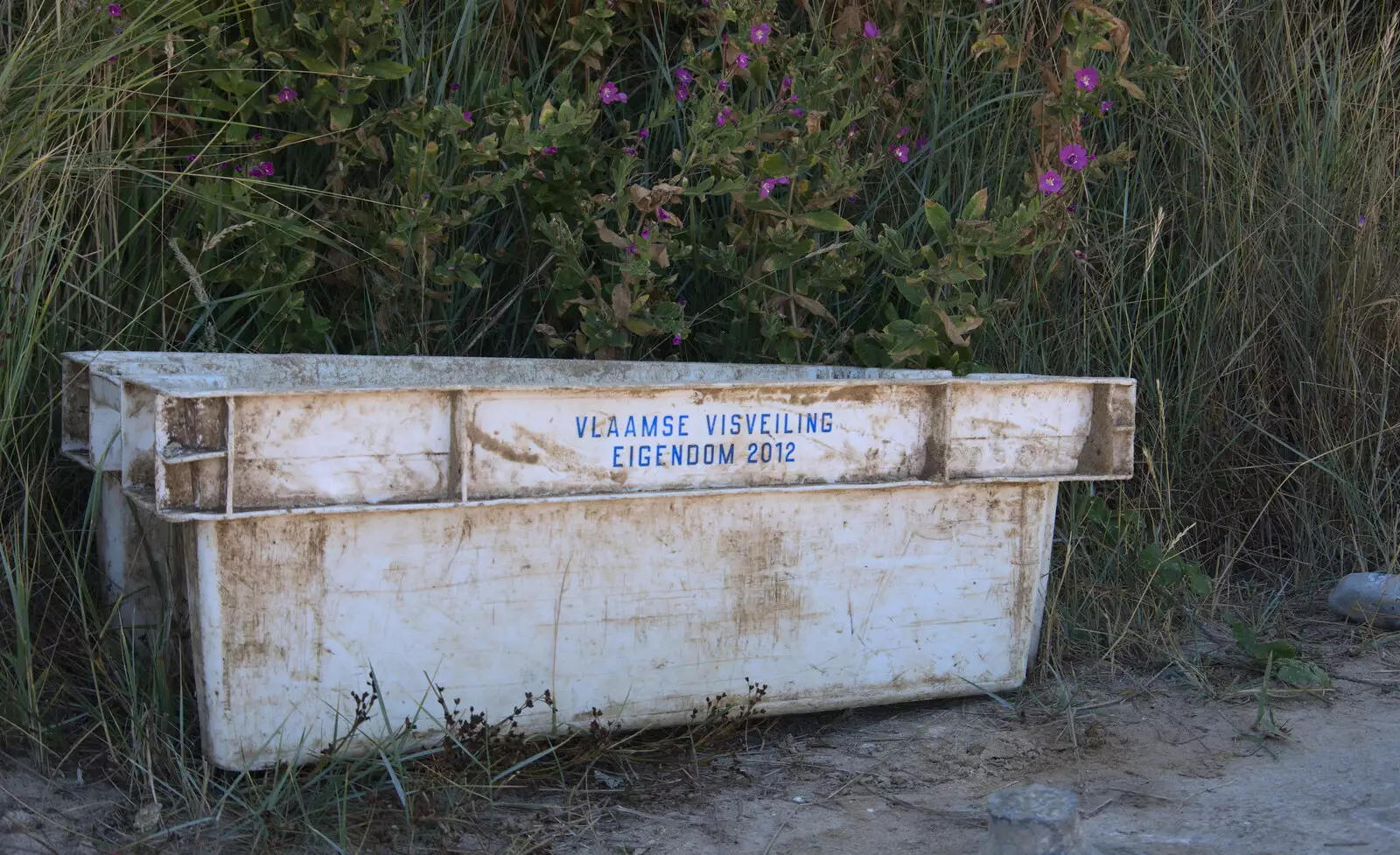 A crate has drifted over the sea from Flanders, from Camping at Forest Park, Cromer, Norfolk - 12th August 2022