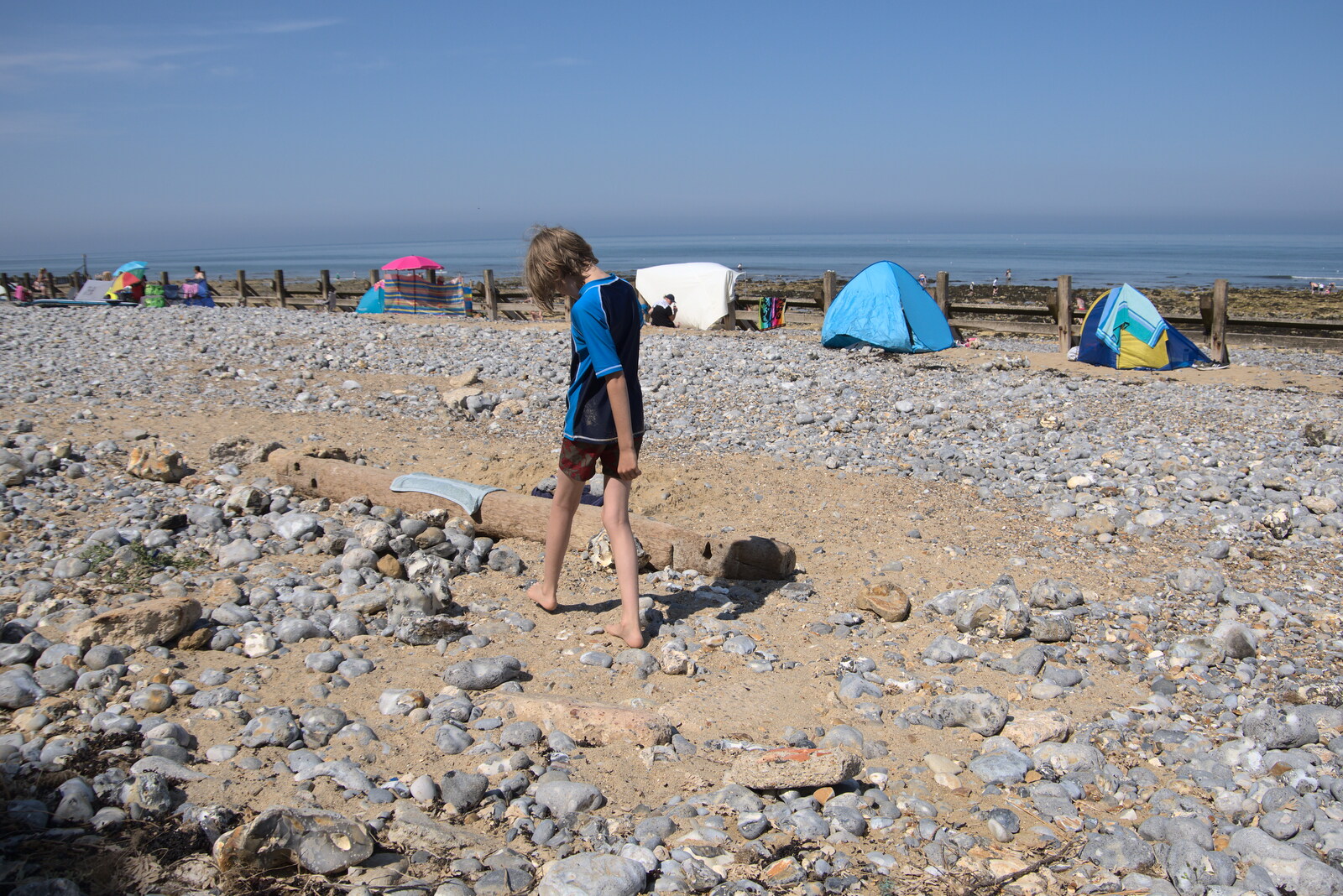 Harry roams around on the beach from Camping at Forest Park, Cromer, Norfolk - 12th August 2022