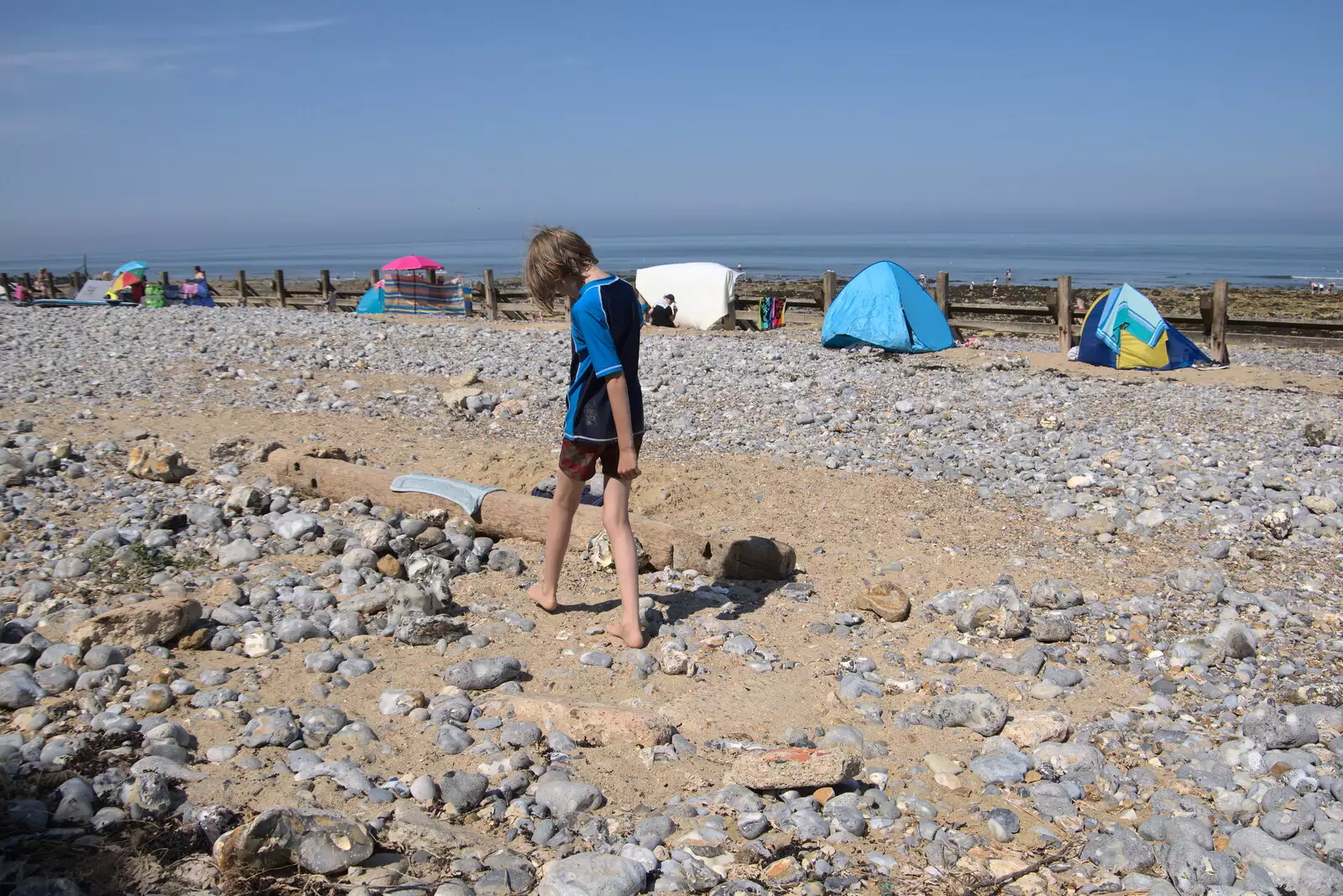 Harry roams around on the beach, from Camping at Forest Park, Cromer, Norfolk - 12th August 2022