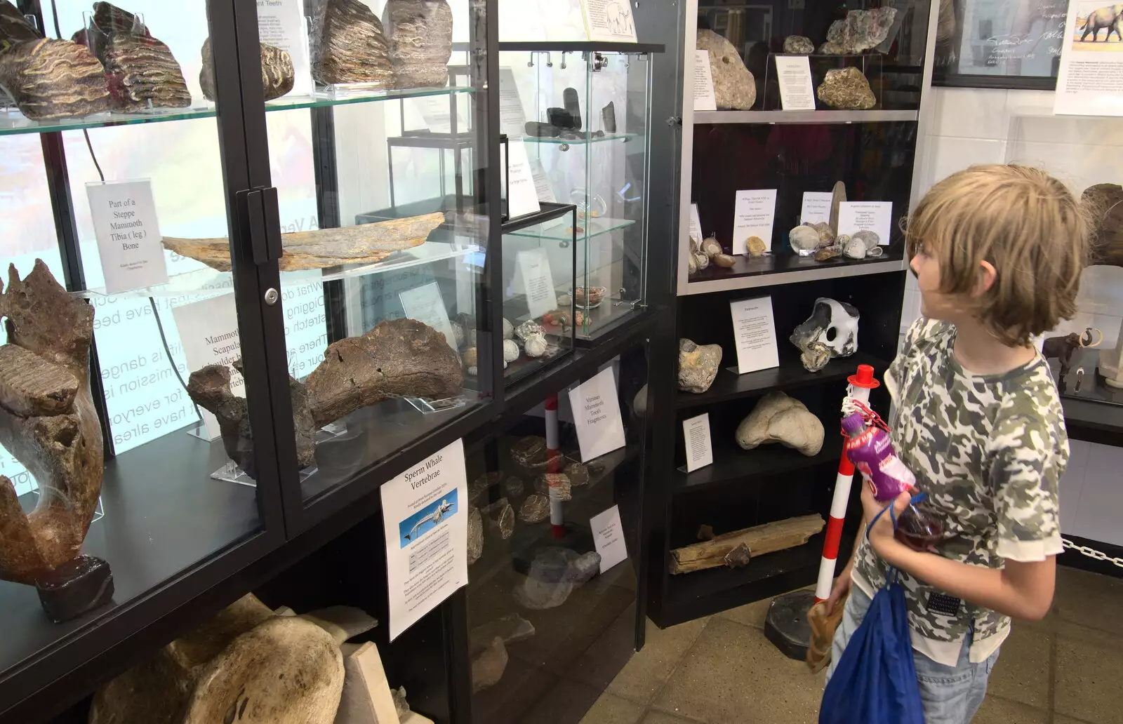 Harry looks at fossils in the café, from Camping at Forest Park, Cromer, Norfolk - 12th August 2022