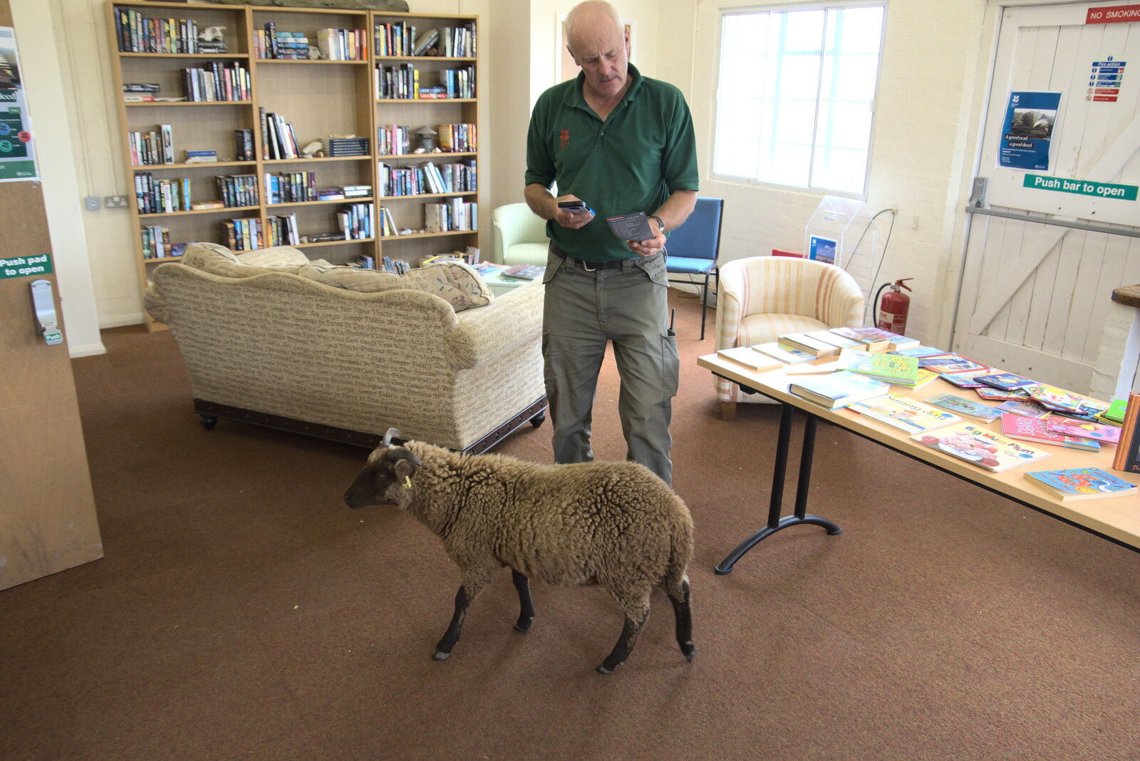 A sheep visits the book shop from A Trip to Orford Ness, Orford, Suffolk - 16th August 2022