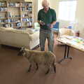 A Trip to Orford Ness, Orford, Suffolk - 16th August 2022, A sheep visits the book shop