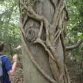 A tree is covered in mistletoe vines, Anglesey Abbey and a #StandWithUkraine Demo, Cambridge - 24th August 2022