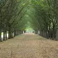 A wooded avenue, Anglesey Abbey and a #StandWithUkraine Demo, Cambridge - 24th August 2022