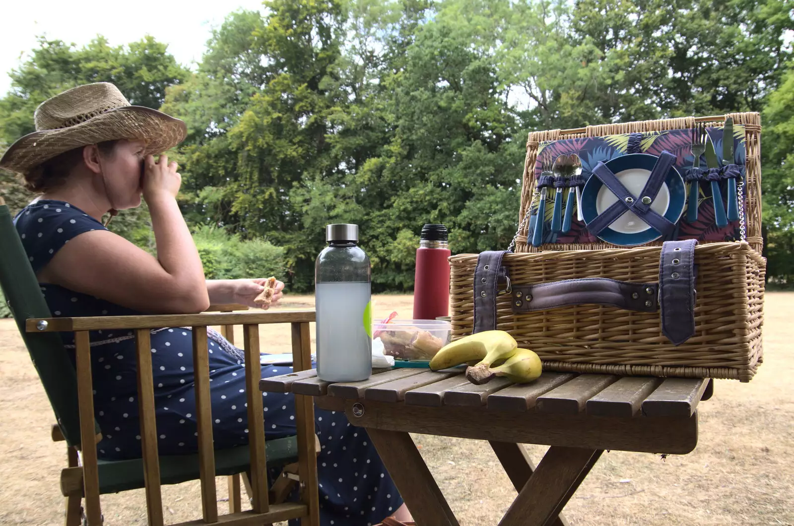 We stop for a picnic on some parched grass, from Anglesey Abbey and a #StandWithUkraine Demo, Cambridge - 24th August 2022