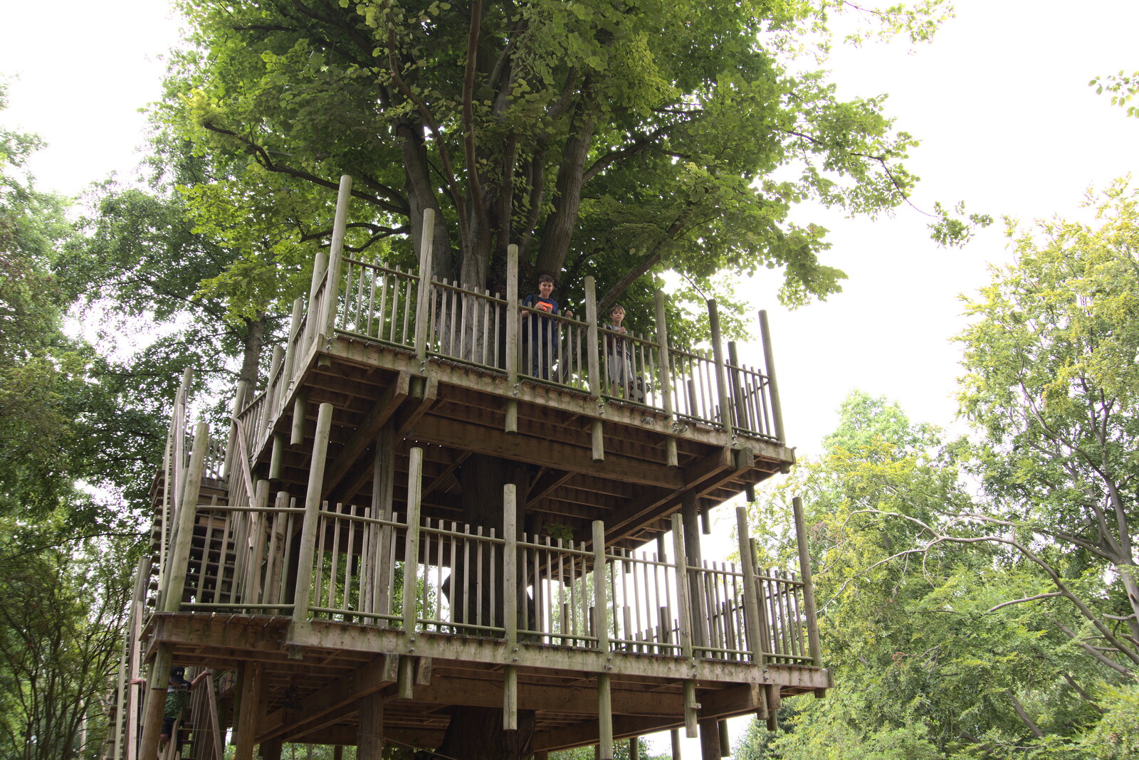 The boys are up in a massive treehouse from Anglesey Abbey and a #StandWithUkraine Demo, Cambridge - 24th August 2022