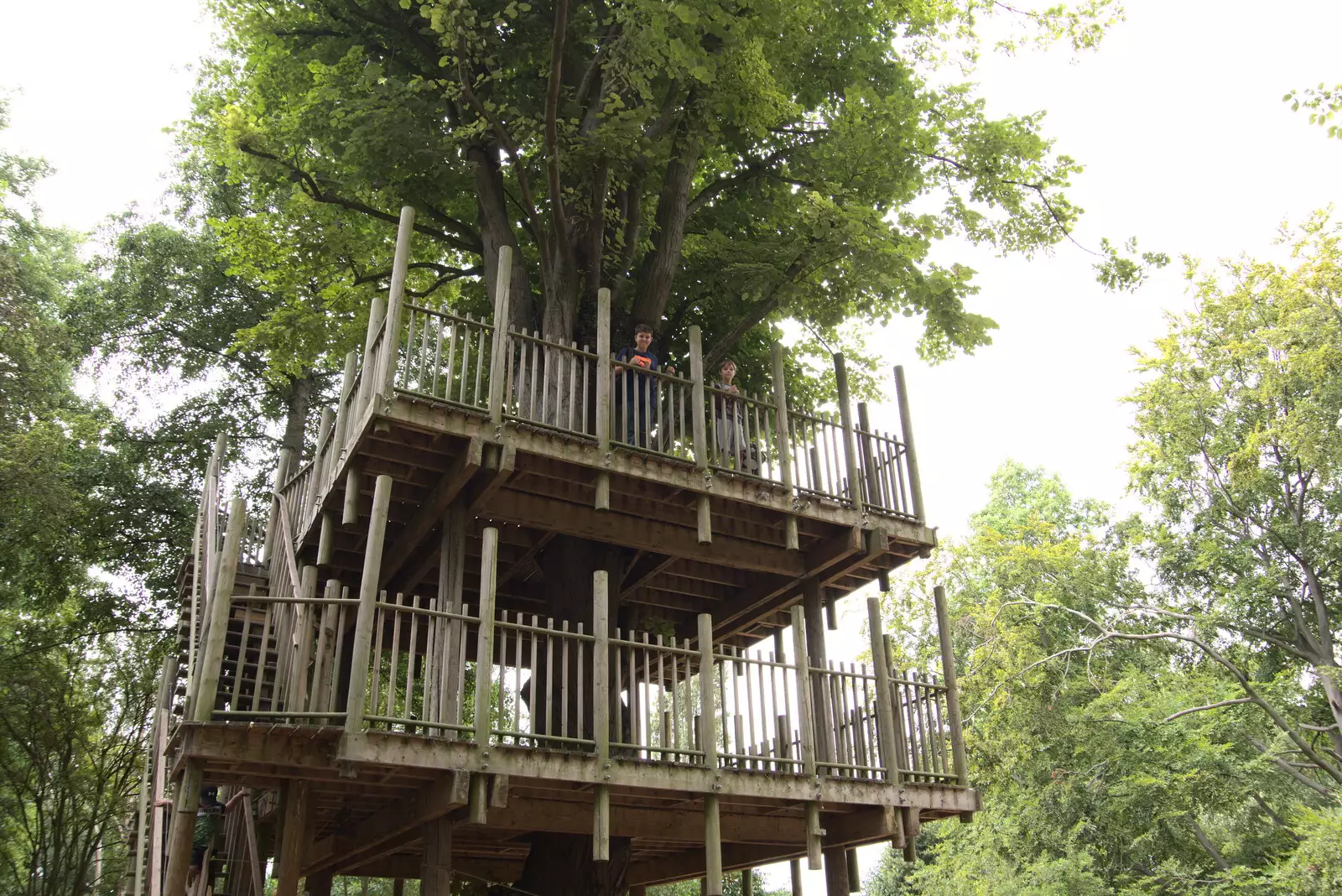 The boys are up in a massive treehouse, from Anglesey Abbey and a #StandWithUkraine Demo, Cambridge - 24th August 2022