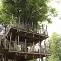 The boys are up in a massive treehouse, Anglesey Abbey and a #StandWithUkraine Demo, Cambridge - 24th August 2022