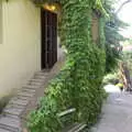 The steps to our apartment, The Flags of Arezzo, Tuscany, Italy - 28th August 2022