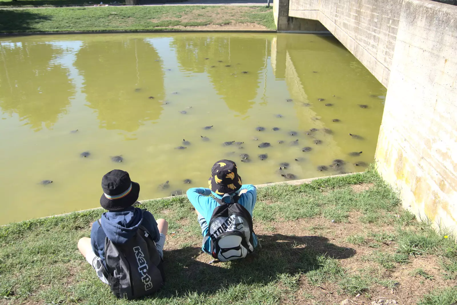 The boys are fascinated by a load of terrapins, from The Flags of Arezzo, Tuscany, Italy - 28th August 2022